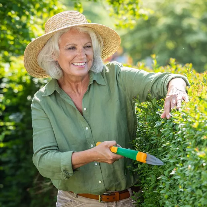 Gartenarbeit - Hecke schneiden